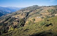 25 nepal ilam kanchenchunga939 DxO